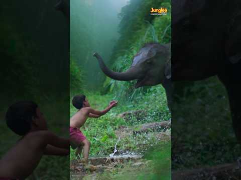 Kumki 2 Official Trailer | Prabhu Solomon | Mathi | NivasK Prasanna| Dr Jayantilal Gada | PenStudios
