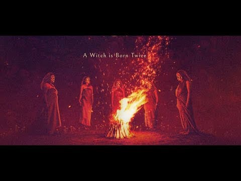 BOKSHI | Clip IFFR 2025