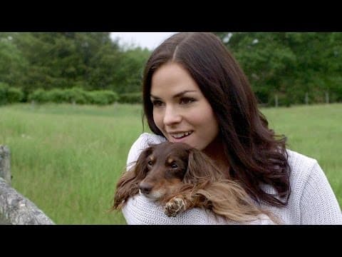 Cause - Official Trailer