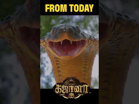 Gajaana In Cinemas Now