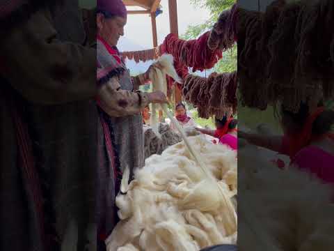 Kullvi whims women’s are mixing the desi wool for new shade #music #song #kullu #fashion #textile