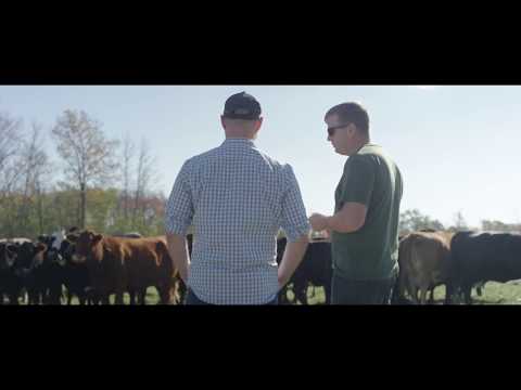 Before The Plate Official Trailer #1 (2018)