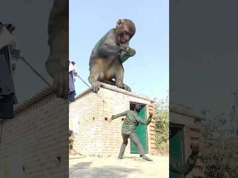 Hanuman chalisa fast #vfx #hanumanchalisa #shortsfeed #tseries