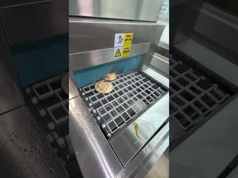 Full-Automatic Commercial Dishwasher in Action | 2,000 Plates/Hour, Sparkling Clean! #lyroekitchen