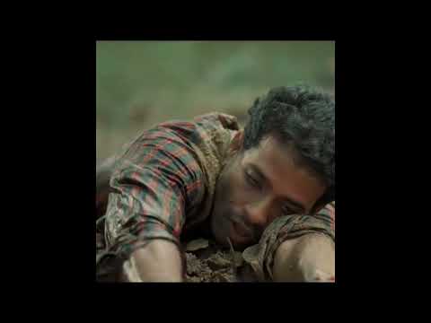 #Gajaana Tamil Movie Official Trailer 😲