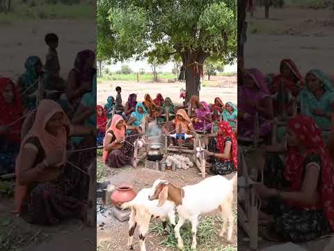 Rajasthani Village Women Spinning Wool Under Neem Tree | Traditional Charkha Scene