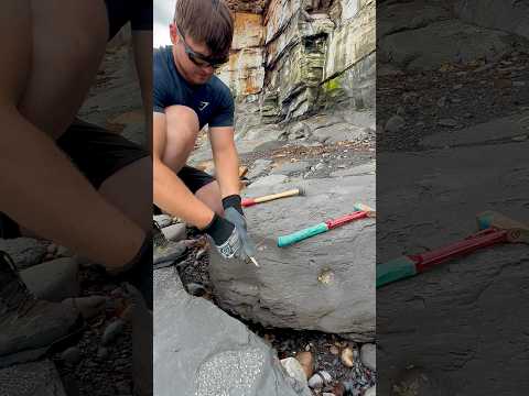 A HUGE shale landslide had exposed an incredible Jurassic fossil hunting site! 😱