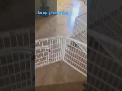 An ugly transition loop