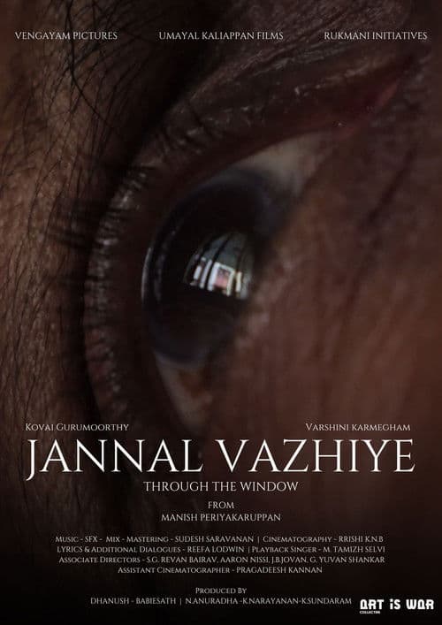 Through the window poster